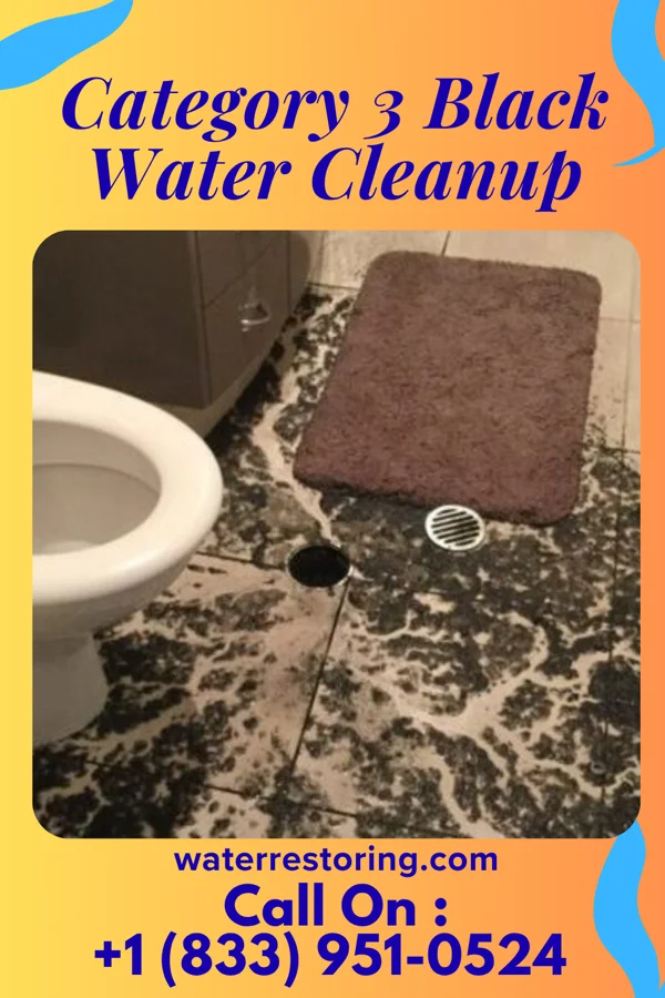 Category 3 Black Water Cleanup in Erie, IL