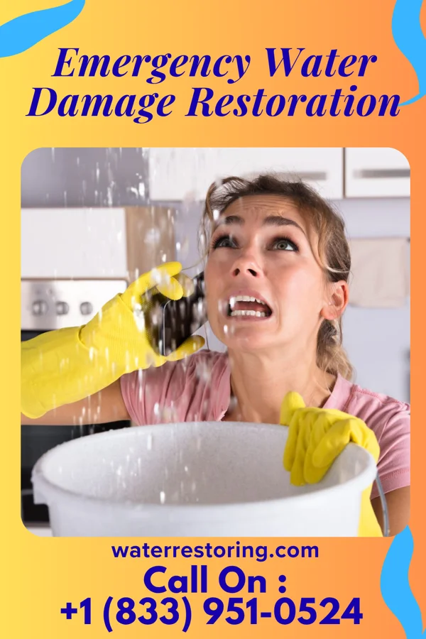Emergency Water Damage Restoration in Erie, IL