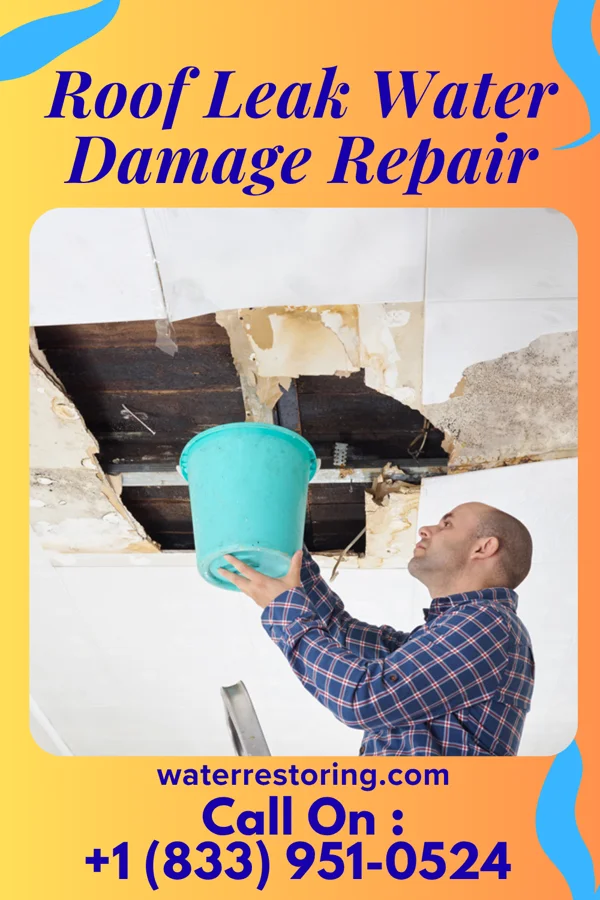 Roof Leak Water Damage Repair in Erie, IL